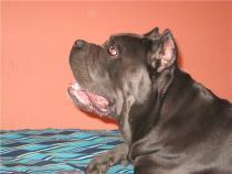 352765f33c5d.jpg