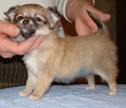 ljalja-levaja.JPG