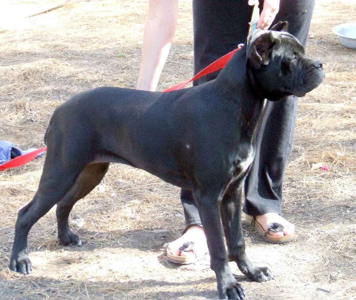 DSCF4855.JPG