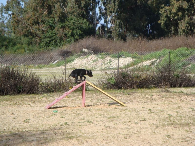 DSC04187.JPG