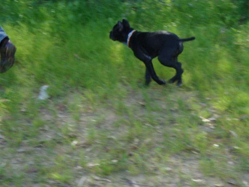 DSC04201.jpg