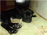 f79ce6461343x.jpg