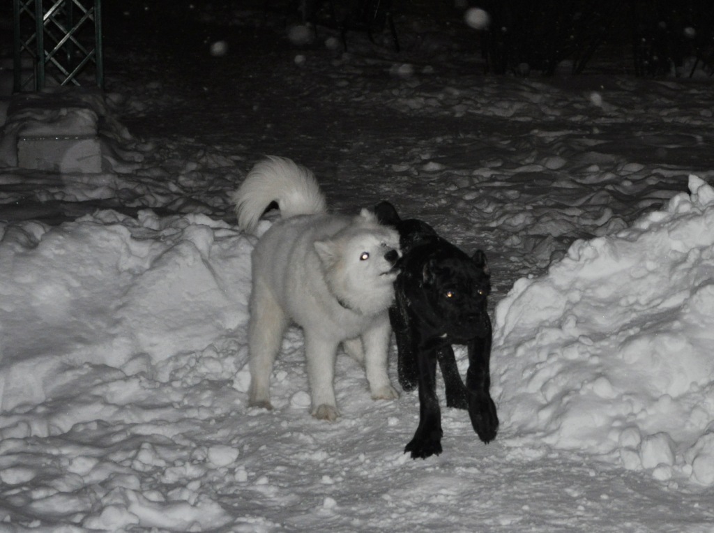 DSC_0865.JPG