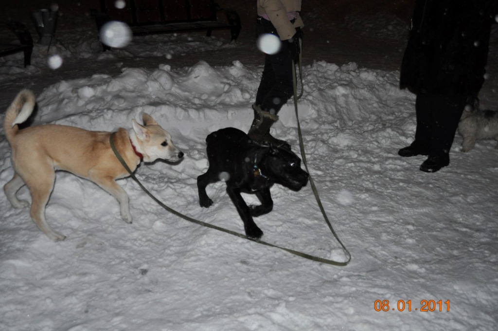 DSC_0862.JPG