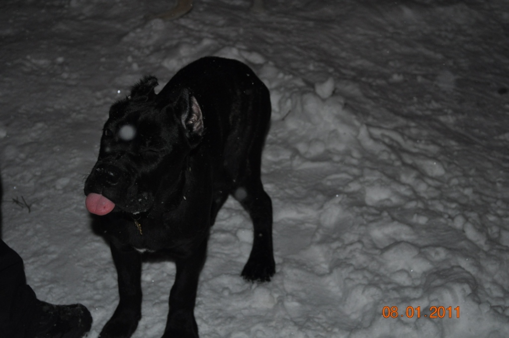 DSC_0869.JPG
