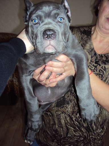 DSC01080_thumb.jpg