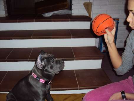 DSC01087_thumb.jpg