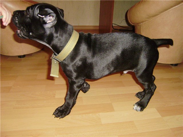 baa3a5149bea.jpg