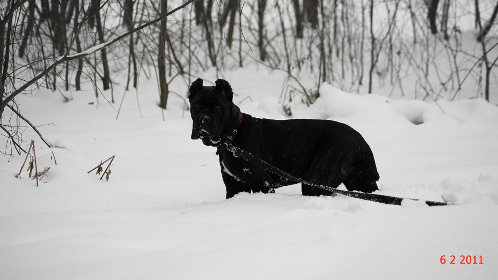 DSC00605 - копия.JPG