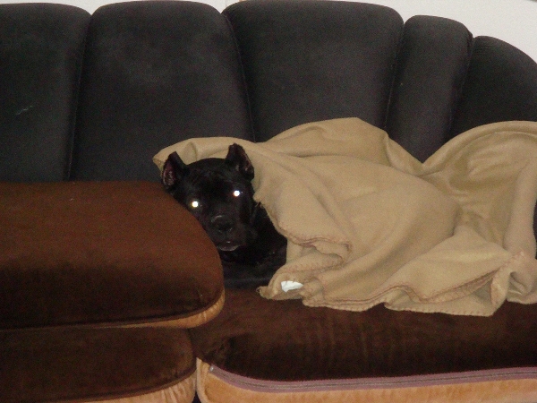 DSC04380.jpg